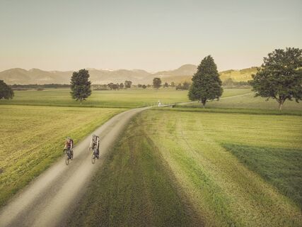 Fahrt durchs Ruggeller Riet