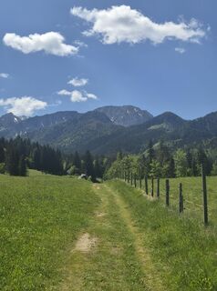 Fotografija s spletne strani Anna Kopfmüller na poti