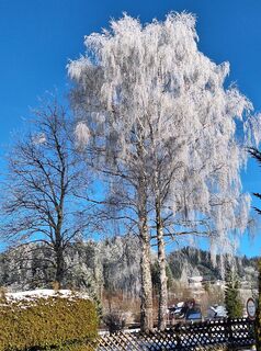 Zdjęcie z Mimi wzdłuż trasy