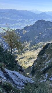 Photo de Mountain Cat ? ⛰️ le long du parcours