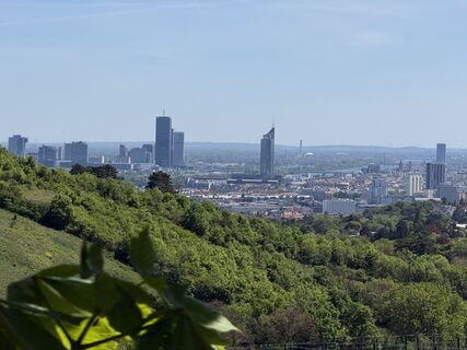 Photo de Alexander Wastian le long du parcours