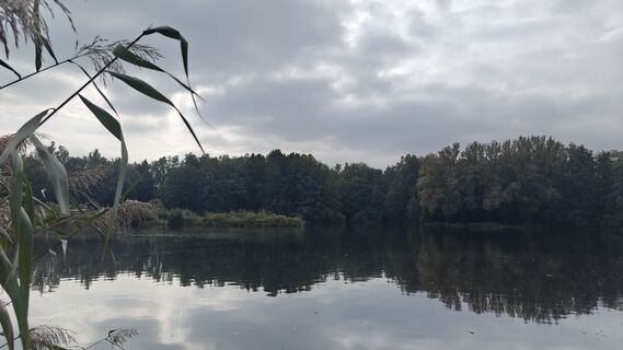 Photo de Ann VR le long du parcours
