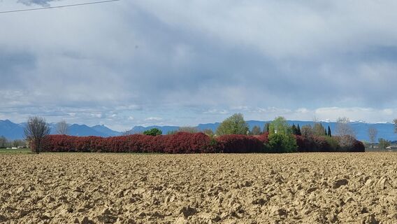 Fotografija s spletne strani Otto2 na poti
