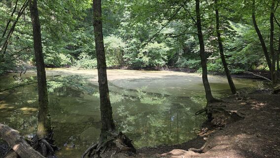 Fotografie de la Dirk Backhaus de-a lungul turului
