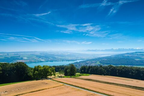 Reinach