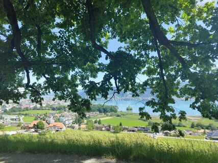 Foto von Julie Anouscha Mona entlang der Tour