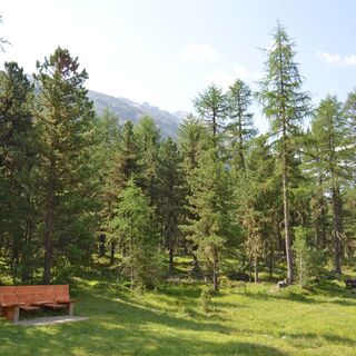 Entspannen im Val Roseg