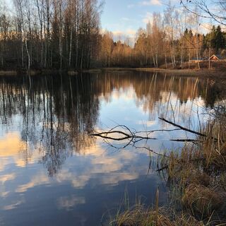 Der Weg verläuft am Ufer der Teiche entlang