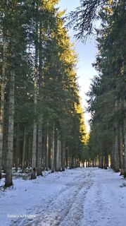 Fotografija s spletne strani Edit Szoboszlay na poti
