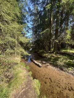 Photo de Sina Johanna le long du parcours