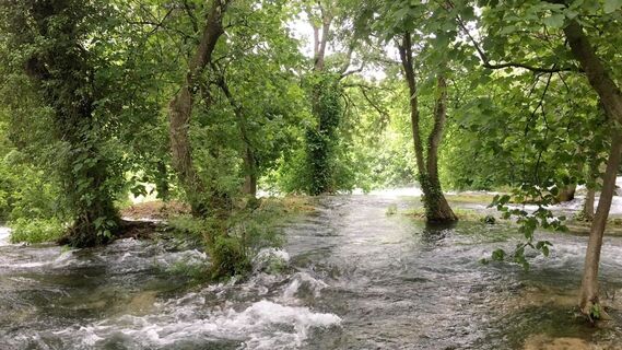 Foto von Lomalinda entlang der Tour