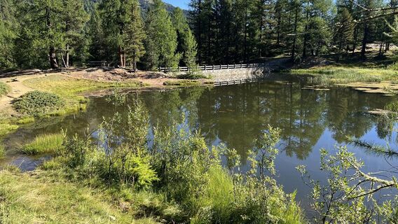 Foto von Pezzotta entlang der Tour