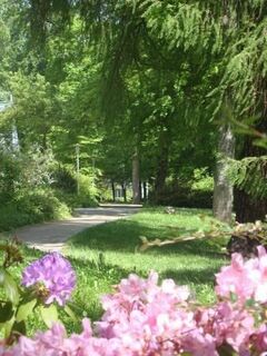 Kurpark_Bad Lobenstein.jpg