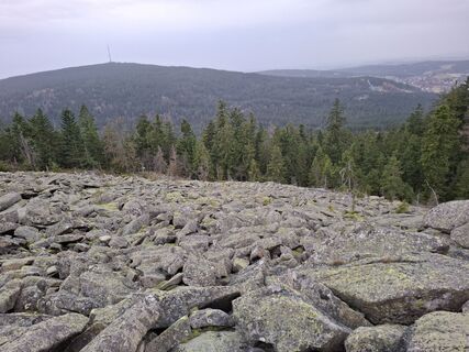 Foto de Wollomator a lo largo del recorrido
