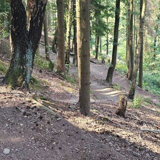 Der Einsteiger mit sanften Kurven und Anliegern