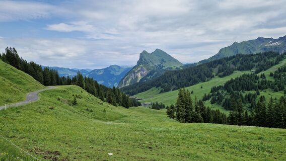 Fotografie z Gerrit van der Linde na trase
