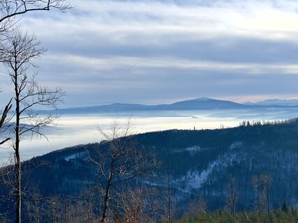 Fotografie z Wiesiek W na trase