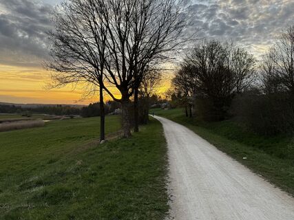 Fotografia z Schaali na trase