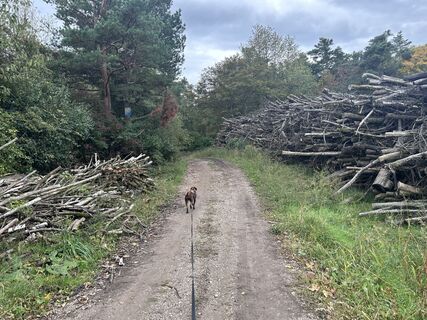 Photo de Car Wanderfreude le long du parcours