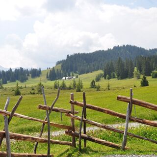 Die Hochebene Prodriet