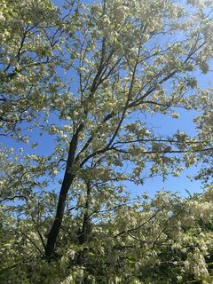 Foto von Hwidmoser entlang der Tour