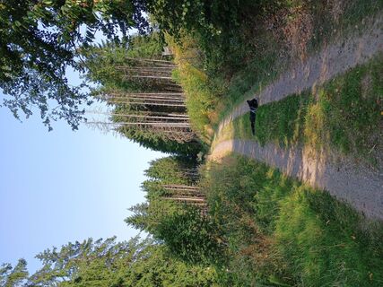 Foto von JaapBergfex entlang der Tour