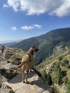Fotó a Ralf Umminger honlapról a túra során