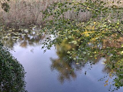 Fotografia z Heinz 68 na trase