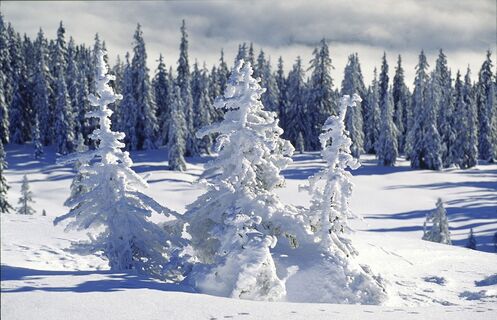 Winterwanderung Muhr - Jedl