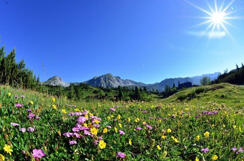 Vom Grünen See auf die Sonnschien