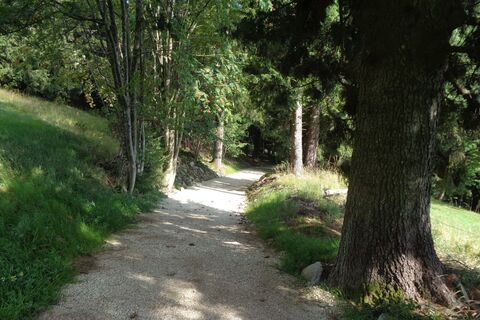 Route 62 - Wexl Trails