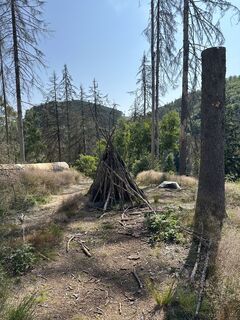 Fotografia z justasimpleguy na trase