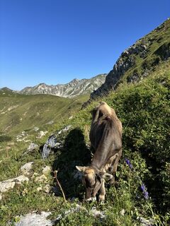 Foto de Lara Gerstberger a lo largo del recorrido