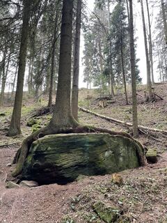 Fotografia z holgerwag na trase
