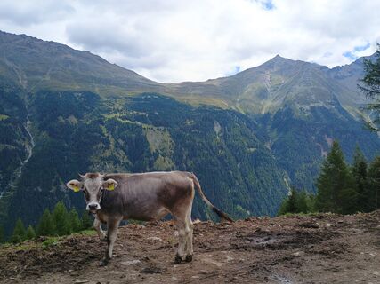 Foto von Andreas Beuster Huke entlang der Tour
