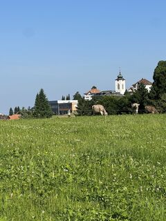 Fotó a Cyrill Bischof honlapról a túra során