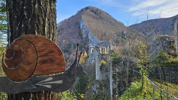 Fotografija s spletne strani Grieshofer Gerlinde na poti