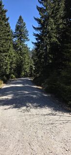 Foto von Michael Steiniger entlang der Tour