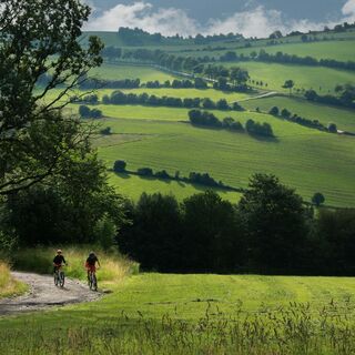 Mountainbiken im Erzgebirge