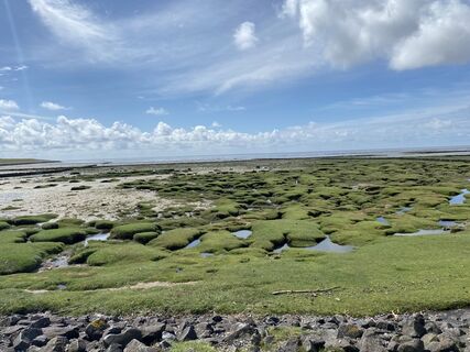Foto von Ludger Scheper entlang der Tour