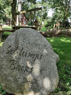 Schlumps Backs