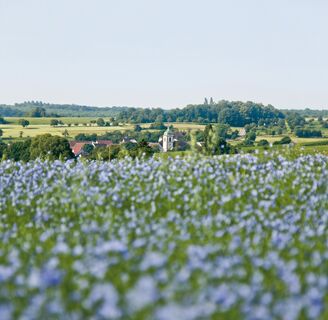 Gersheim_2017_LeinenfeldMedelsheim_Elke_Birkelbach
