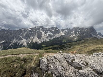 Fotografija s spletne strani Catherina Lehr na poti
