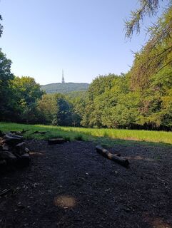 Foto de Anne Herrmann a lo largo del recorrido