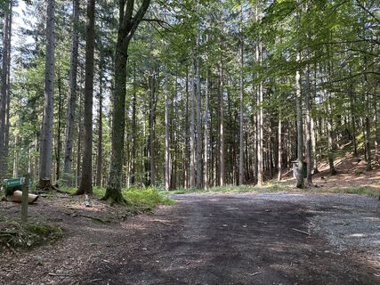 Fotografija s spletne strani Heinz Sperl na poti