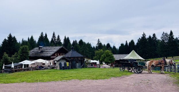 Foto von Eva T. entlang der Tour