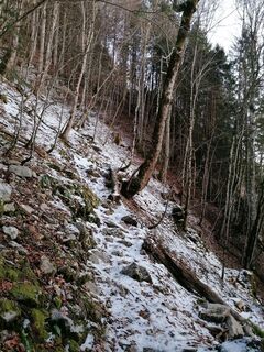 Fotografie z luyyy na trase