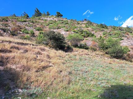 Foto fra Claudia Gander underveis på turen