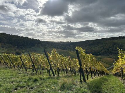 Photo de S Michel584 le long du parcours