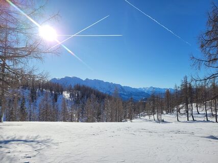 Fotografija s spletne strani Juliane Jarke na poti